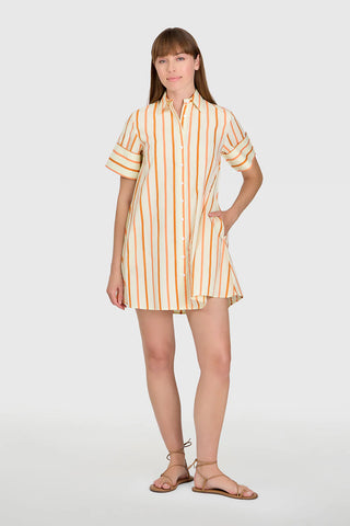 Livro Dock Dress Mini