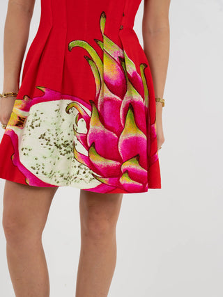 EMC Vivi Dress