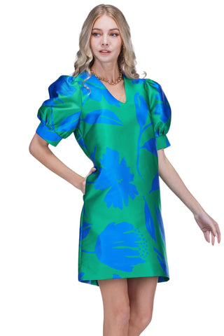 Jade V-Neck Puff Slve Dress