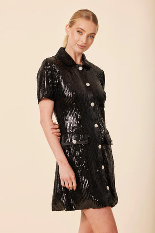 Dolce Cabo Sequin Button Dress