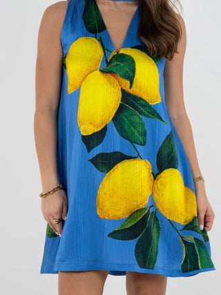 Emily McCarthy Milan Mini Dress