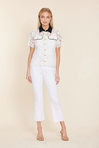 Dolce Cabo Lace Black Collar Top